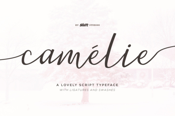 Camelie: A Font That Elevates Your Brand’s Visual Identity