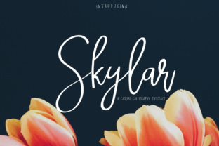 Skylar: A Font That Breathes Life Into Editorial Design